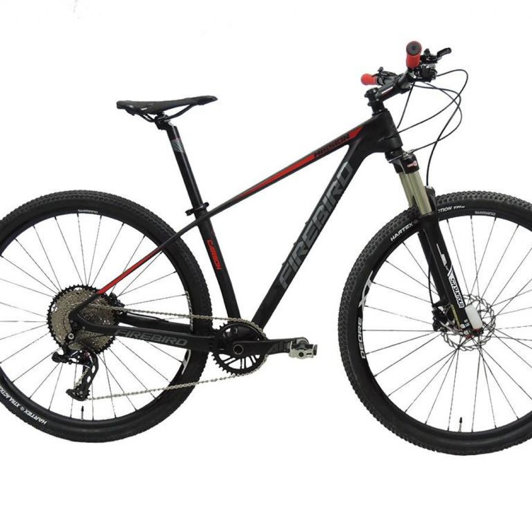 bicicleta-mtb-r29-carbono-12v-fire-bird-talle-17