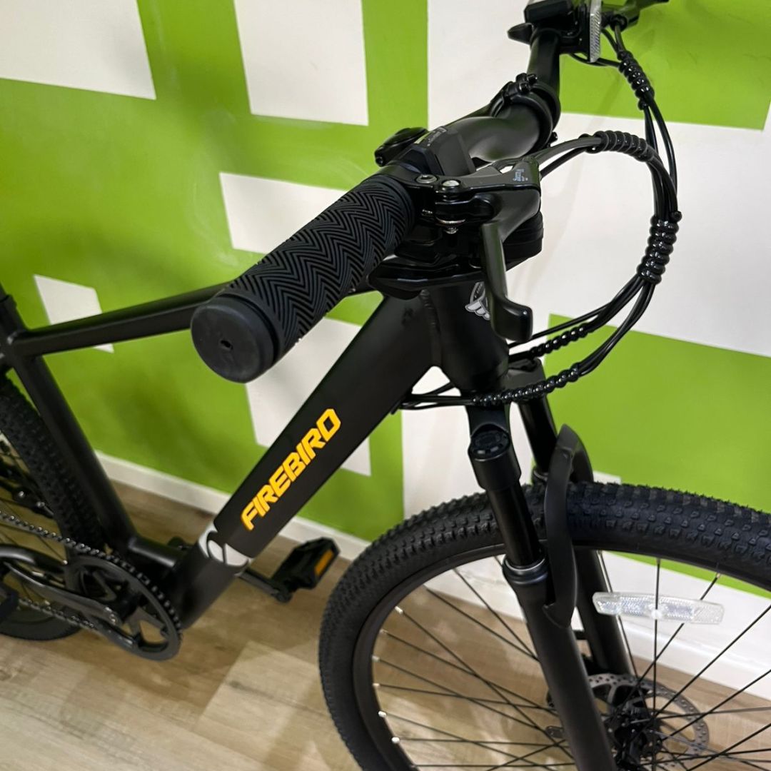 bicicleta-electrica-r29-mtb-firebird