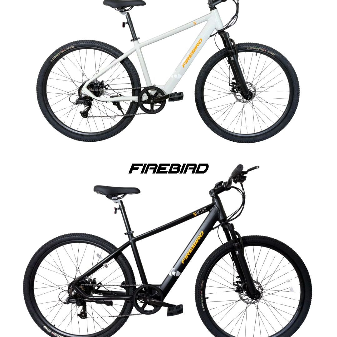 bicicleta-electrica-r29-mtb-firebird