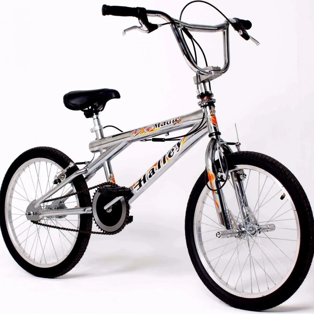 bicicleta-freestyle-r20-de-aluminio-pulido-laqueado-rueda-36-a