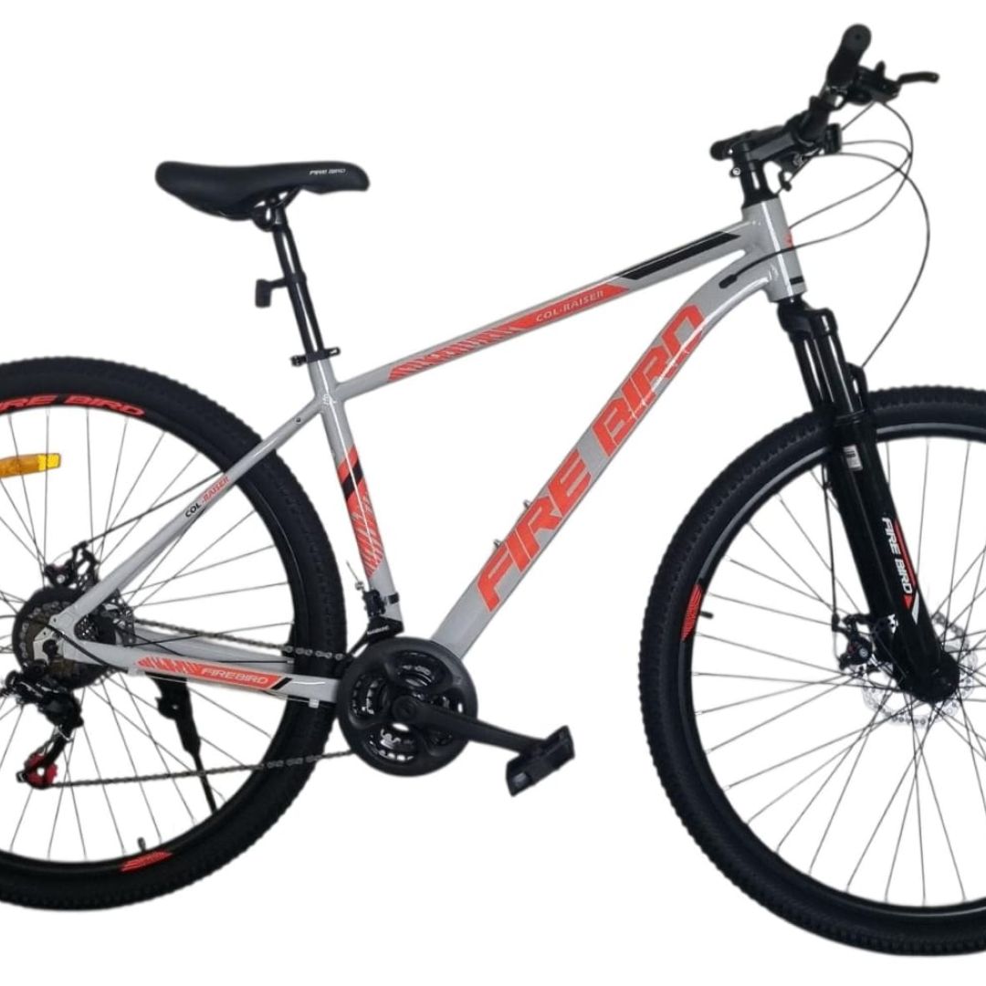 bicicleta-r29-mgpp-talle-20-21-v-negro-con-gris
