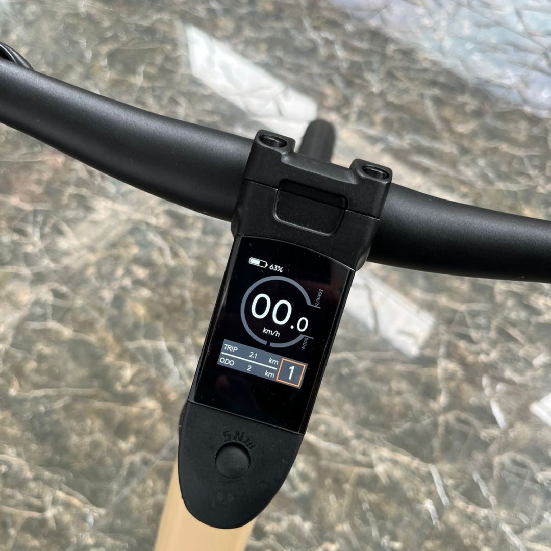 bicicleta-electrica-city-700-dama-fire-bird-esp-sin-cable