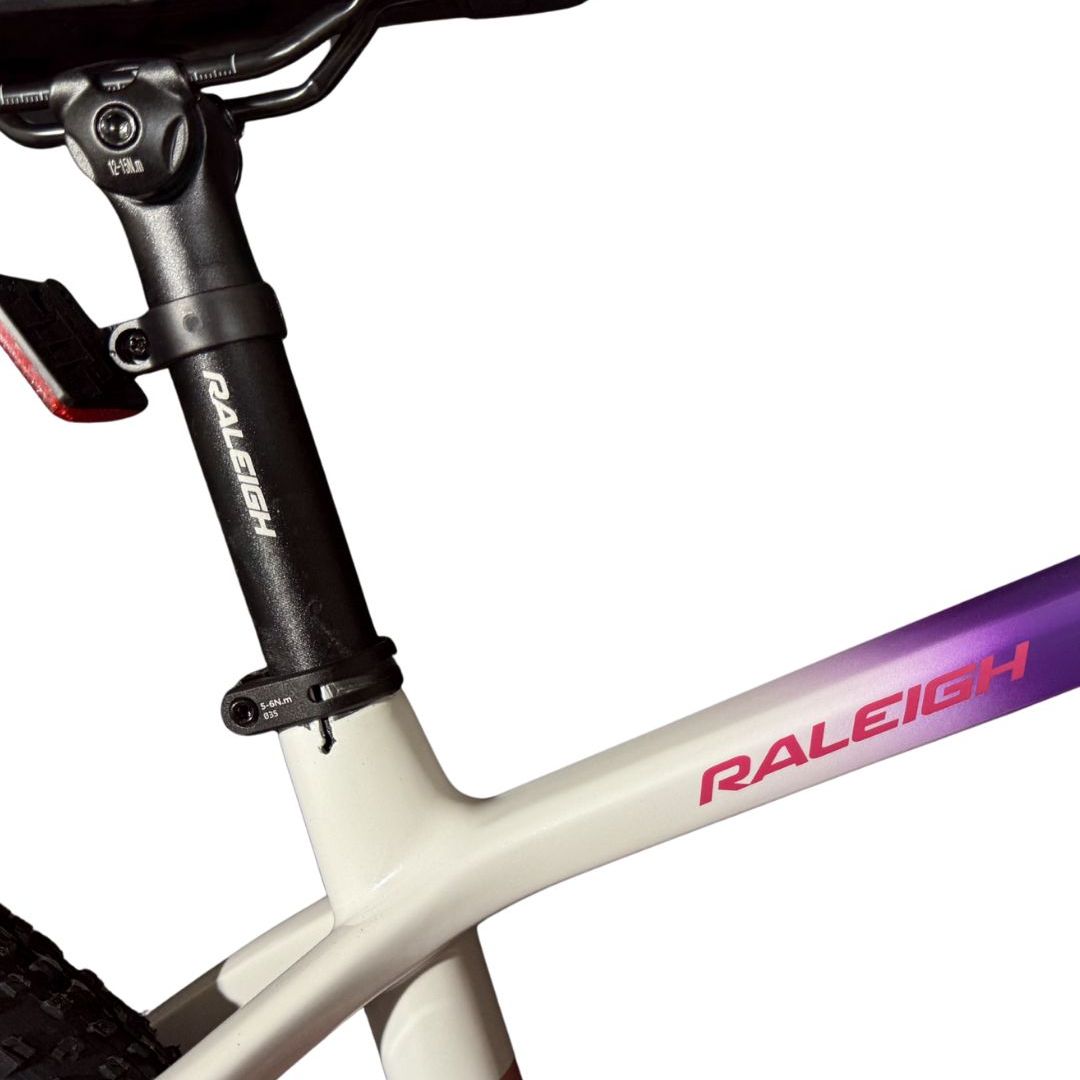 bicicleta-raleigh-dama-80-r29-165-rosa-con-blanco-y-purpura
