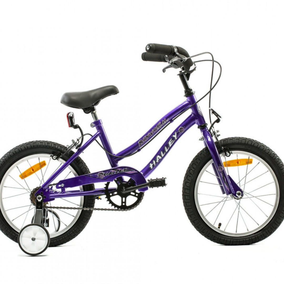 bicicleta-playera-r16-dama-cuadro-importado