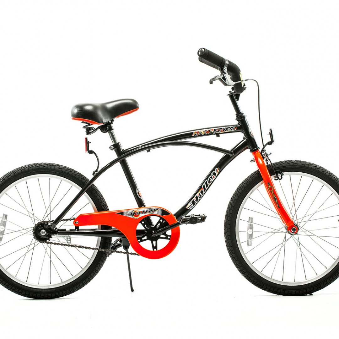 bicicleta-playera-r20-varon-cuadro-importado