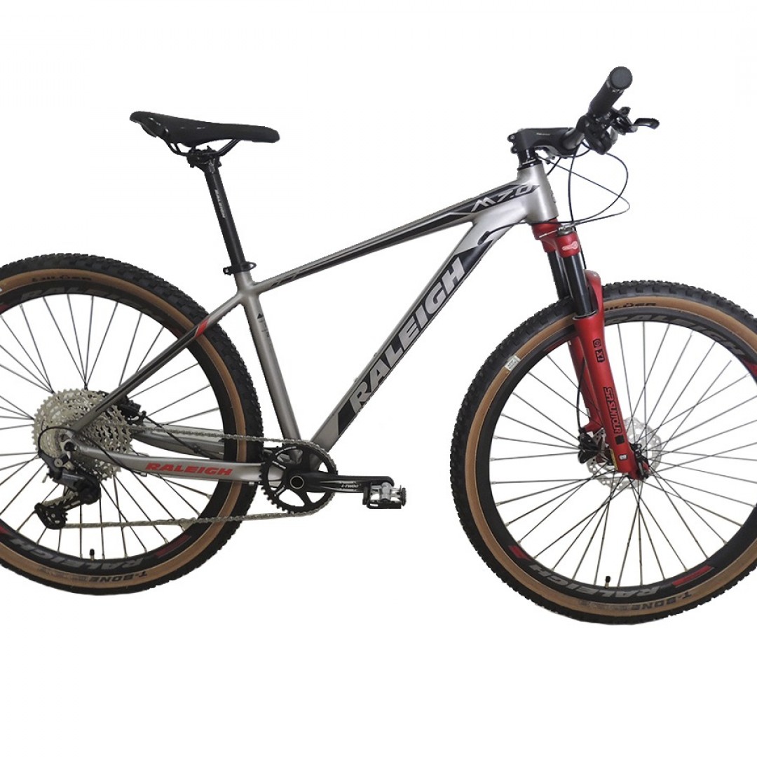 raleigh-70-r29-19-gris-con-rojo