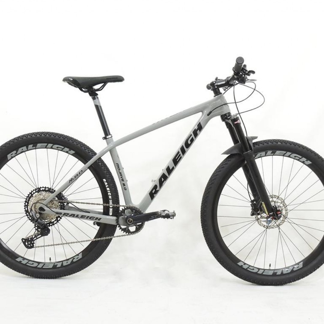 raleigh-80-r29-19-gris-con-negro