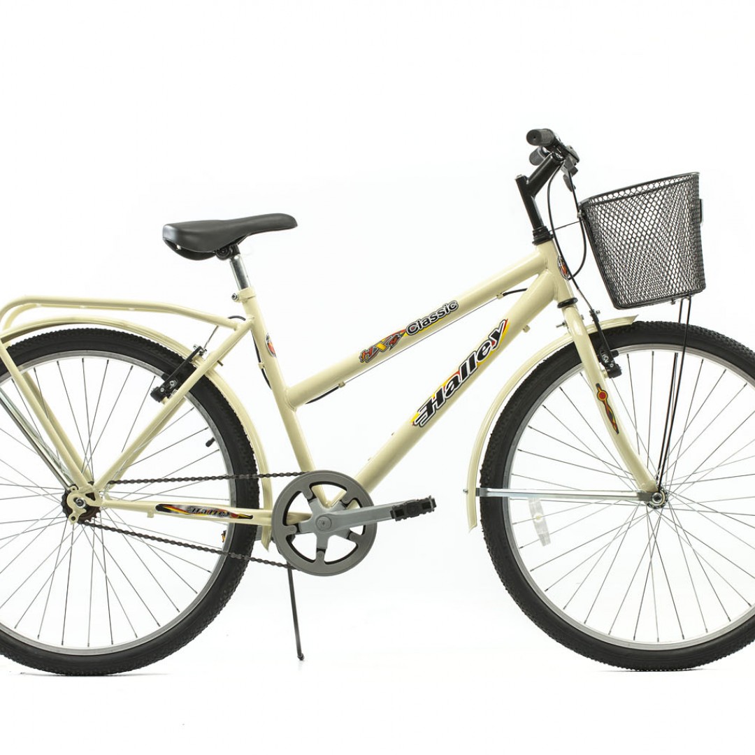 rtos-mtb-r26-full-1v-freno-v-brake-canasto-portapaquete-soldado-guardabarros-dama