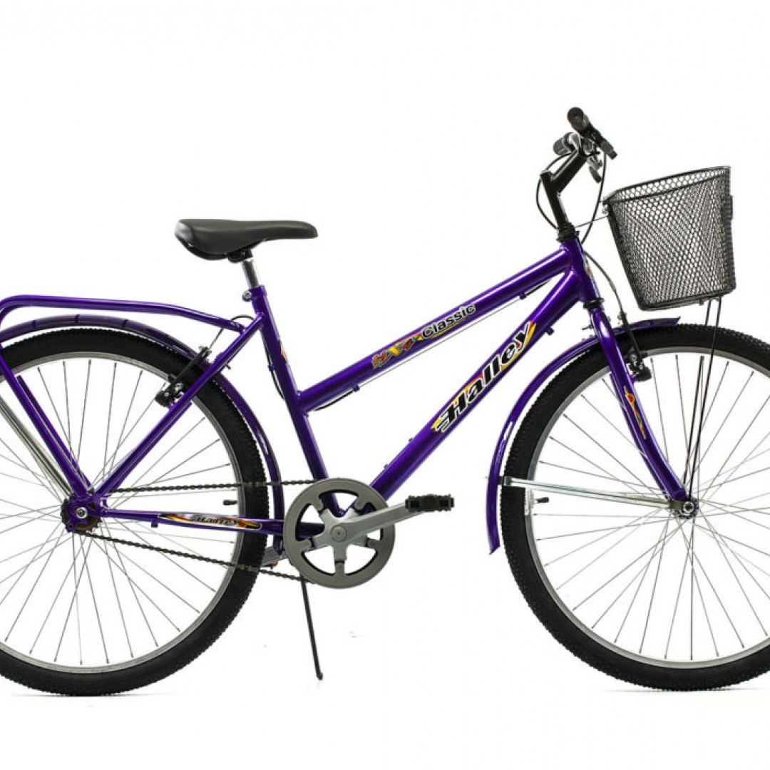 rtos-mtb-r26-full-1v-freno-v-brake-canasto-portapaquete-soldado-guardabarros-dama
