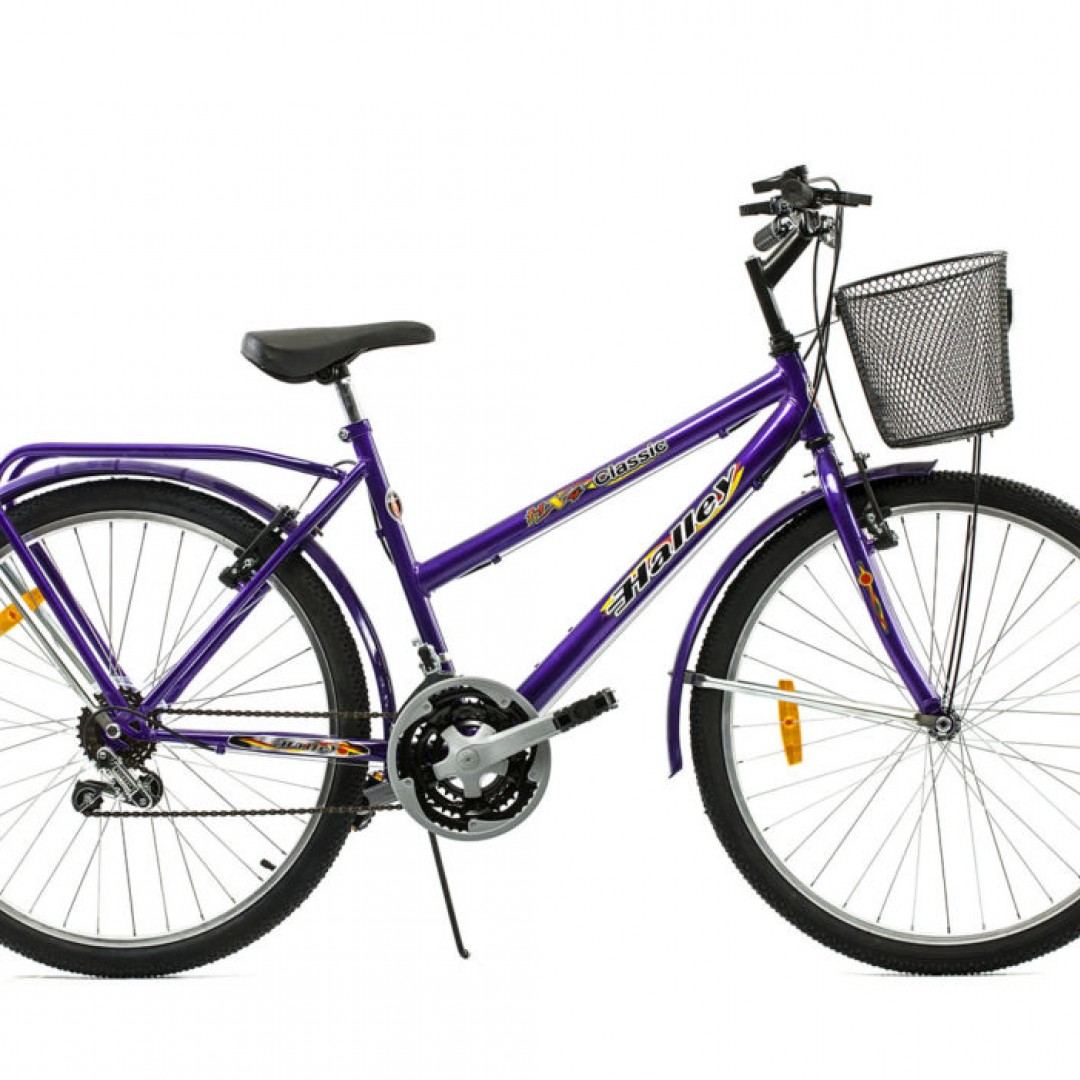 rtos-mtb-r26-full-18v-freno-v-brake-canasto-portapaquete-soldado-guardabarros-dama